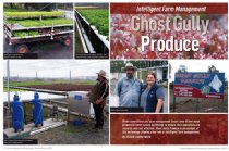 Issue 108 Ghost Gully Produce
